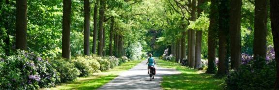 Groene lanen