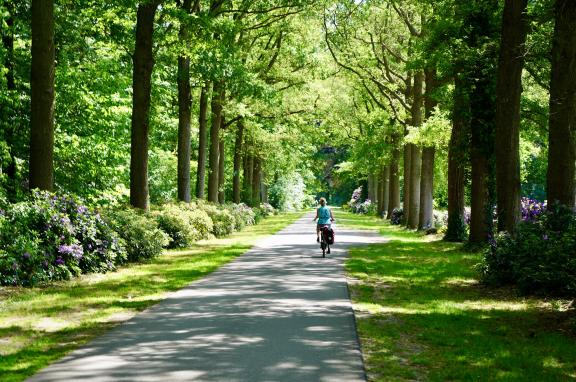 Rijnroute Ten Oosten van de IJssel een van de mooiste fietsroutes van Nederland
