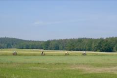 Pieterfietspad - sportief